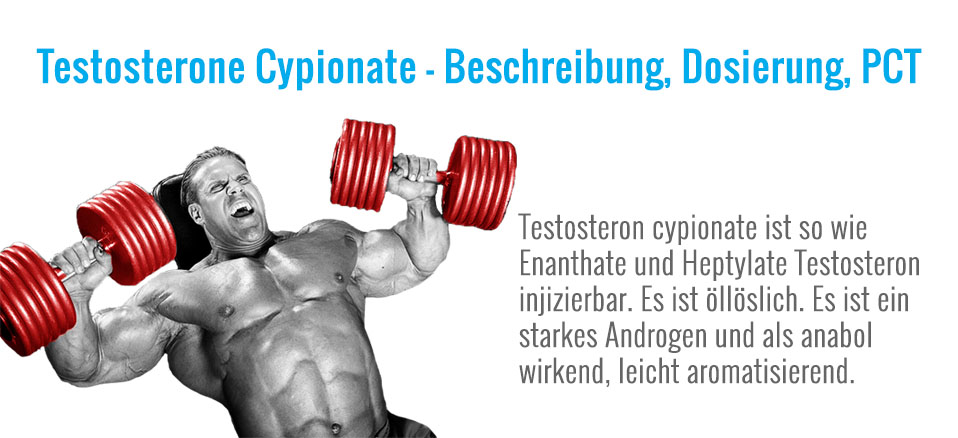 Testosterone_Cypionate_-_Beschreibung_Dosierung_PCT.jpg
