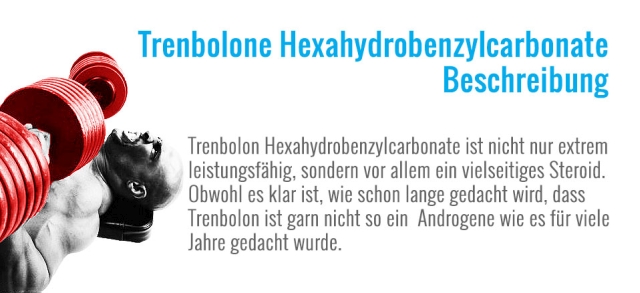 Trenbolone_Hexahydrobenzylcarbonate_-_Beschreibung.jpg