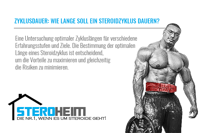 10.ZYKLUSDAUER WIE LANGE SOLL EIN STEROIDZYKLUS DAUERN 