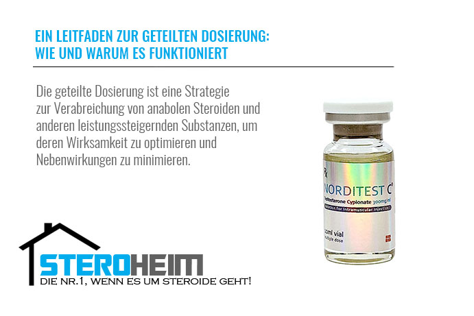15.EIN LEITFADEN ZUR GETEILTEN DOSIERUNG WIE UND WARUM ES FUNKTIONIERT
