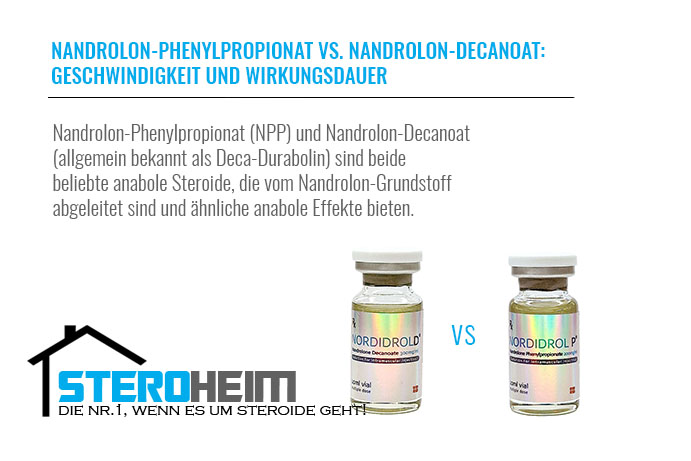 19.NANDROLON PHENYLPROPIONAT VS. NANDROLON DECANOAT GESCHWINDIGKEIT UND WIRKUNGSDAUER