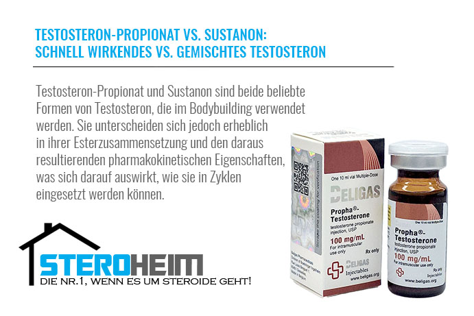 22.TESTOSTERON PROPIONAT VS. SUSTANON SCHNELL WIRKENDES VS. GEMISCHTES TESTOSTERON