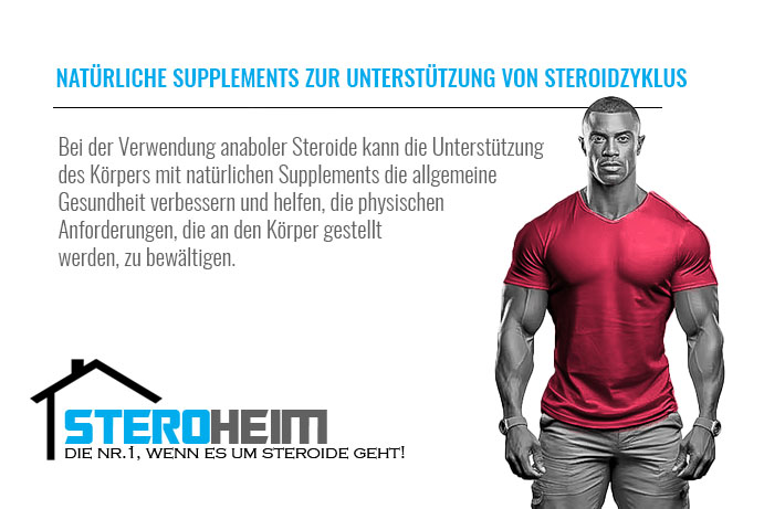 6.NATURLICHE SUPPLEMENTS ZUR UNTERSTUTZUNG VON STEROIDZYKLUS