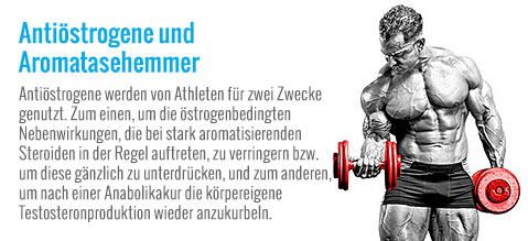 Antiöstrogene und Aromatasehemmer