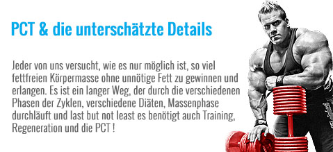 PCT die unterschätzte details